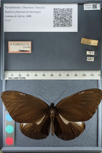 Media type: image;   Entomology 160530